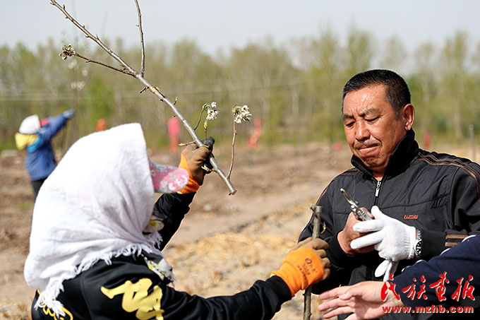 zhishu09