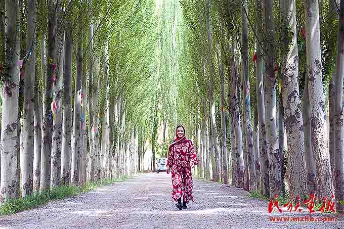 大漠与水乡的浪漫相遇 同心筑梦 第6张-民族画报 大漠与水乡的浪漫相遇 同心筑梦 第6张