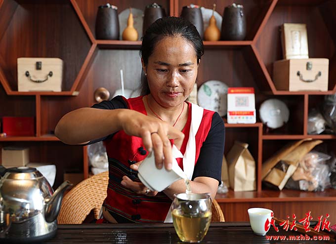 勐库镇:茶园里的幸福生活 图片报道 第2张-民族画报