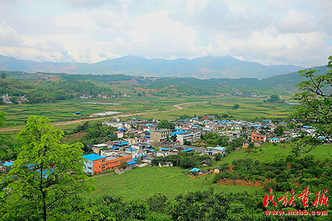 勐底农场:云岭山乡气象新 图片报道 第1张-民族画报