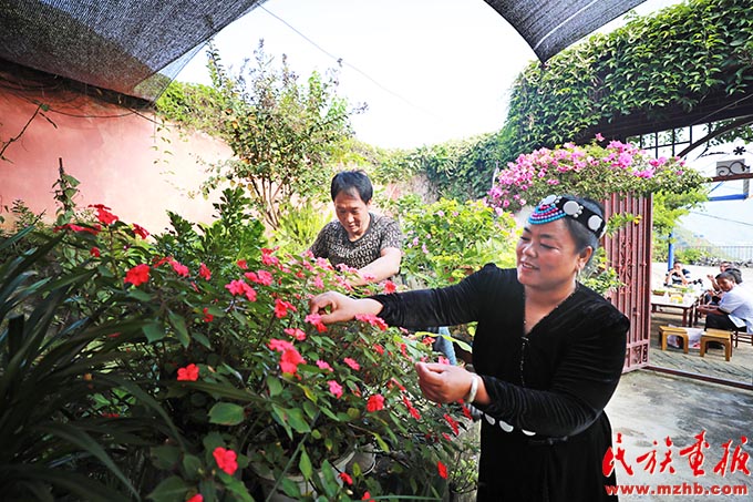 排路坝村:让乡村更宜居 让生活更美好|牢记嘱托 建设好泸水美丽家园 同心筑梦 第1张-民族画报
