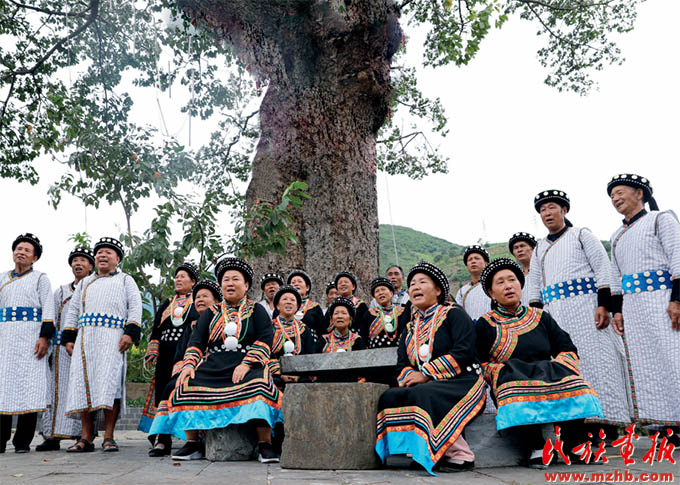 建设好美丽家园 维护好民族团结 守护好神圣国土——泸水市牢记嘱托创新推进现代化边境幸福村建设工作纪实 同心筑梦 第11张-民族画报