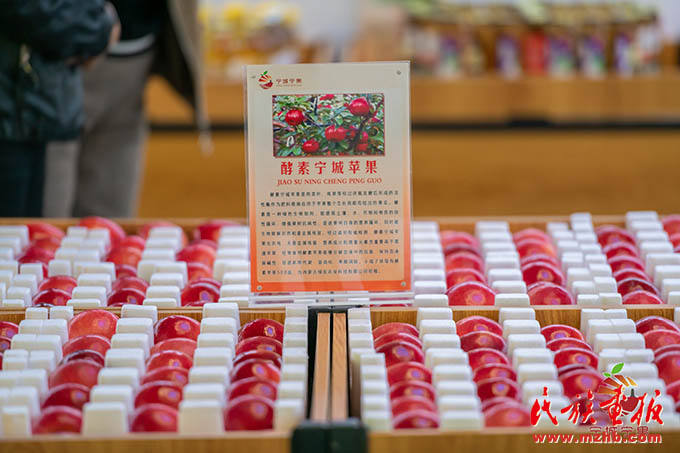 内蒙古宁城县举办第八届苹果文化节 图片报道 第6张-民族画报
