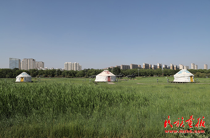 铸牢共同体 中华一家亲|包头市:石榴花开繁似锦 民族团结一家亲 同心筑梦 第7张-民族画报