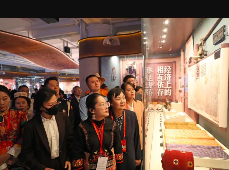 图讯·与模范同向同行|感悟奥林匹克精神 见证民族工作成就 图片报道 第13张-民族画报