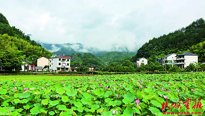 美丽沙溪入画来 同心筑梦 第1张