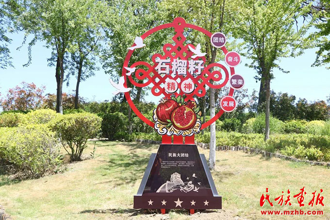 山东：扎实推动民族工作“六个纳入” 图片报道 第11张