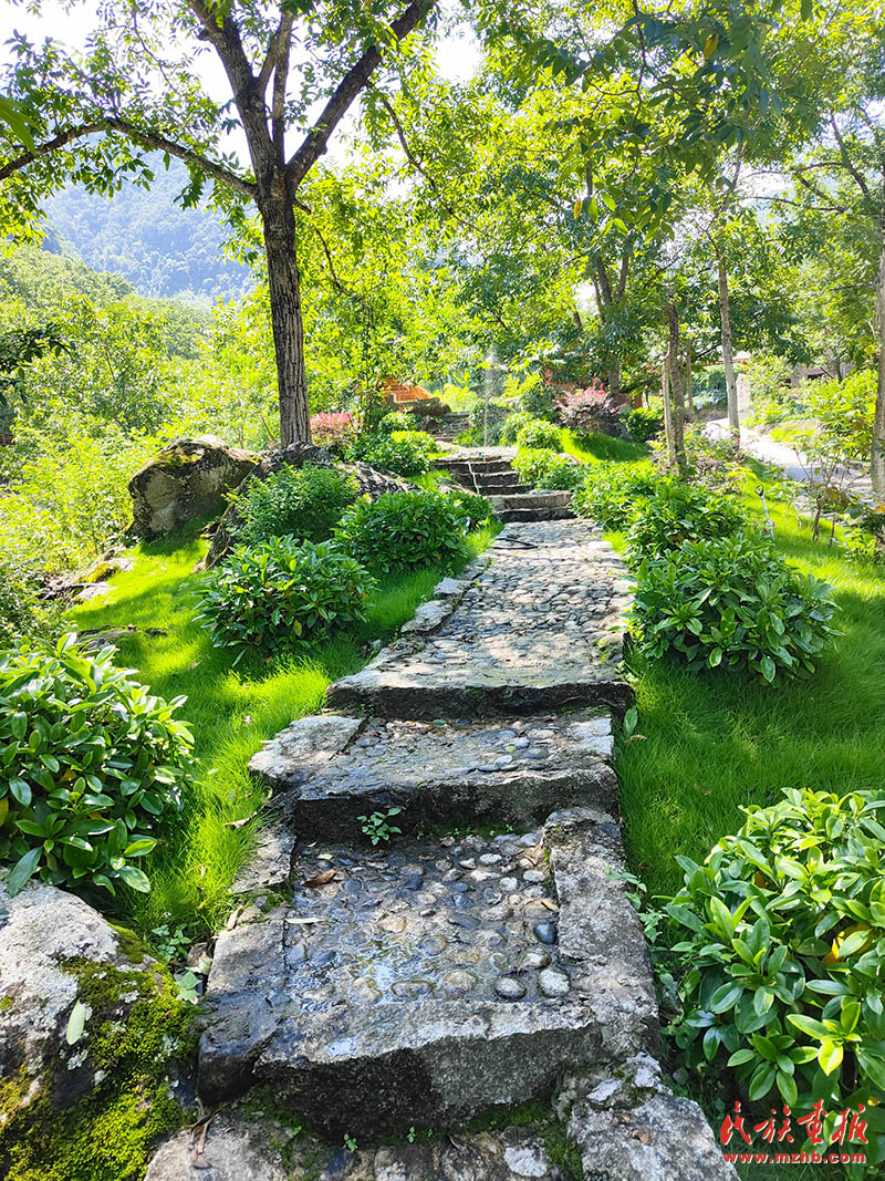 古炭河村：打造乡村旅游“金字招牌”|牢记嘱托 建设好泸水美丽家园 同心筑梦 第4张