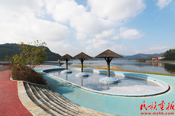 龙树脚村：“七彩”绘出秀美乡村幸福模样 同心筑梦 第5张