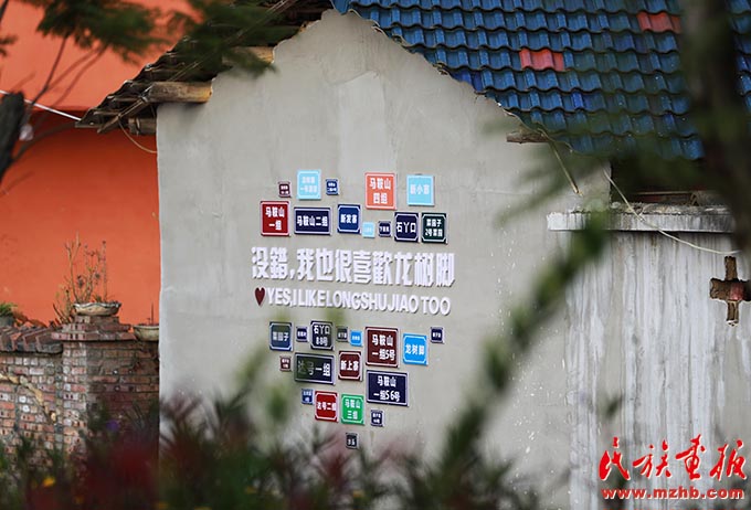 龙树脚村：“七彩”绘出秀美乡村幸福模样 同心筑梦 第8张