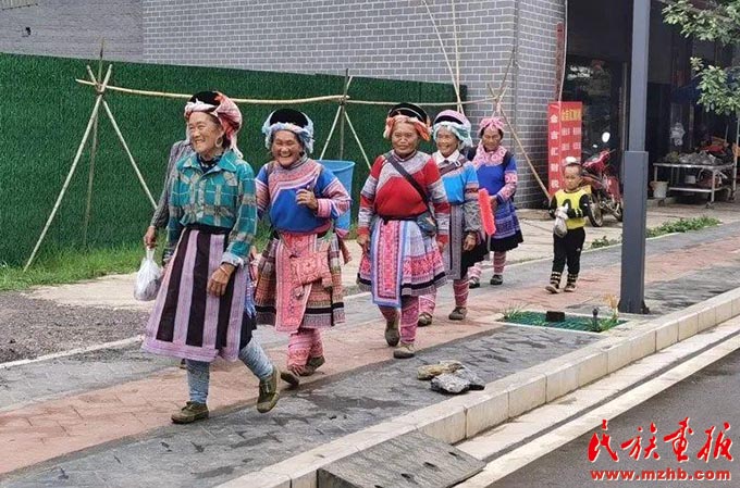 文山州茅坪社区：擦亮边疆各族群众幸福底色 同心筑梦 第9张